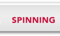 SPINNING